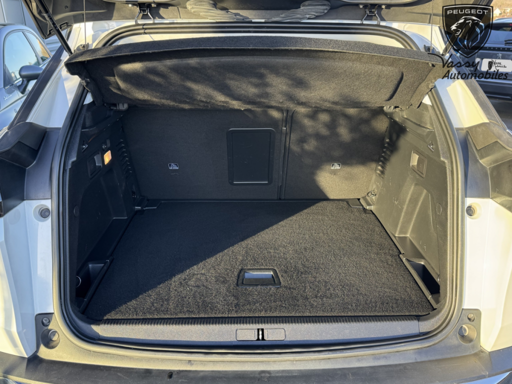 Peugeot 3008 (2) 1.6 BLUEHDI 120 S&S ACTIVE BUSINESS