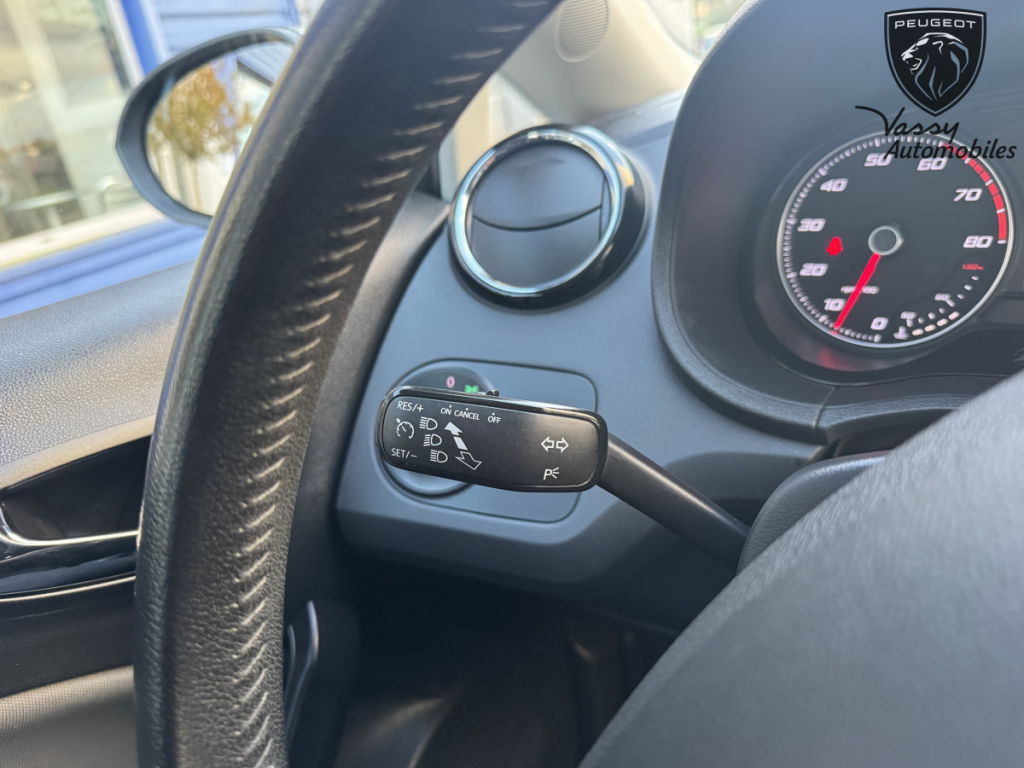 Seat Ibiza (4) 1.2 TSI 90 LAST EDITION