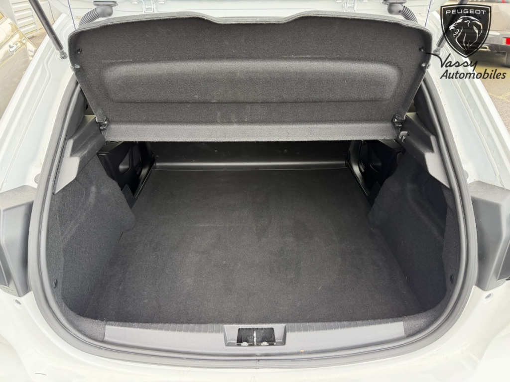 Peugeot 208 Affaire (2) 1.5 BlueHDi 100 S&S Premium Pack